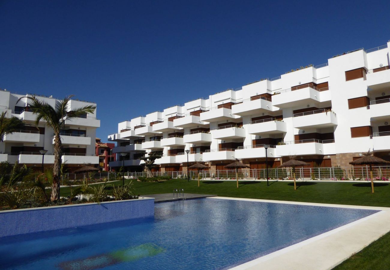 Zapholiday  -  3029  -   penthouse Orihuela Costa, Costa Blanca - piscine