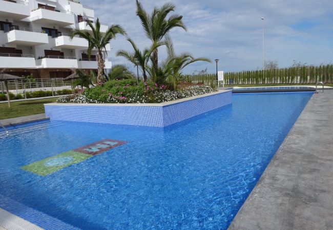Zapholiday  –  3056  - appartement Terrazas de Campoamor , Costa Blanca  –   piscine